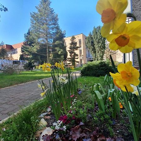 Osrodek Wczasowy Wrzos Łukęcin Exteriér fotografie