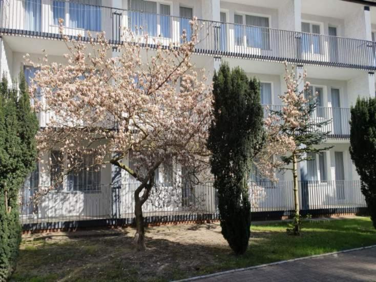Osrodek Wczasowy Wrzos Łukęcin Exteriér fotografie